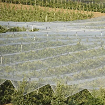 Garden Insect Netting - Image 3