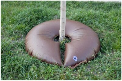 Tree Watering Bag Ring