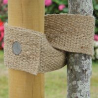 Jute Tree Webbing