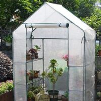 Greenhouse