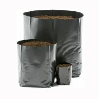 Nursery Grow Bag