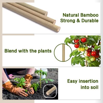 Bamboo Plant Support Stakes - Image 2