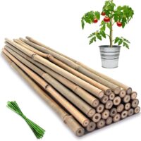 Bamboo Plant Support Stakes