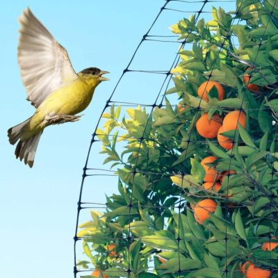 Anti Bird Deer Protection Net Reusable Protective Garden Netting for Plants - Image 2