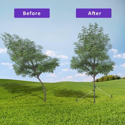 Heavy Duty Steel Tree Stake Kits - Image 4