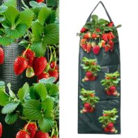 Vertical Wall Hanging Planting Bag