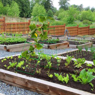 Foldable Frame Metal Garden Trellis - Image 4