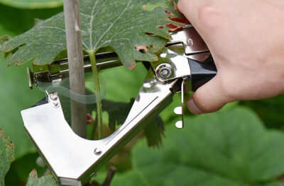 Garden Tapener - Image 3